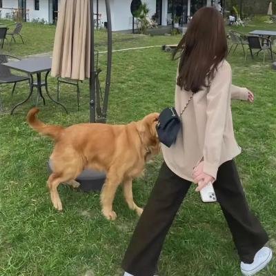 独白